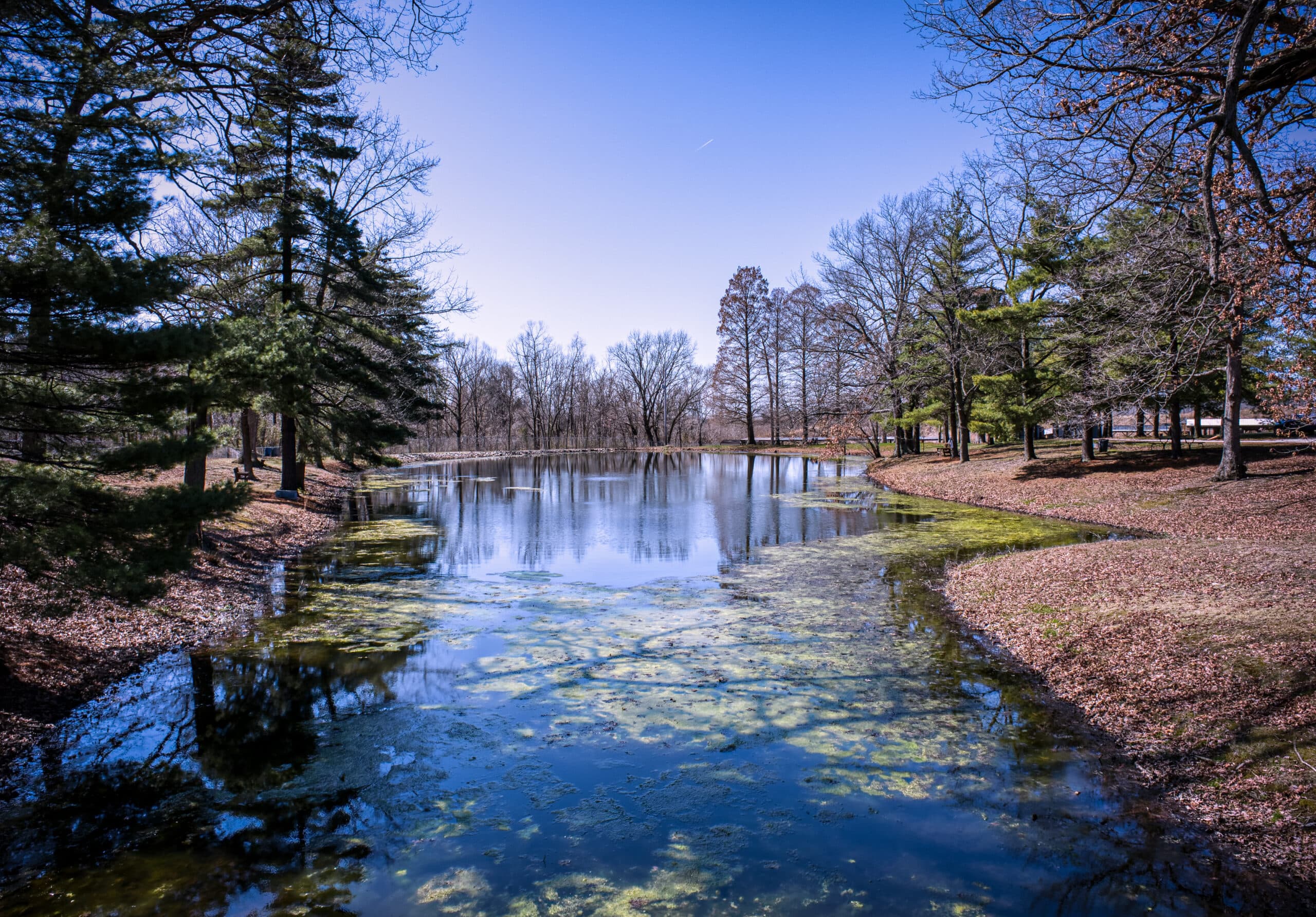 Lake shoreline