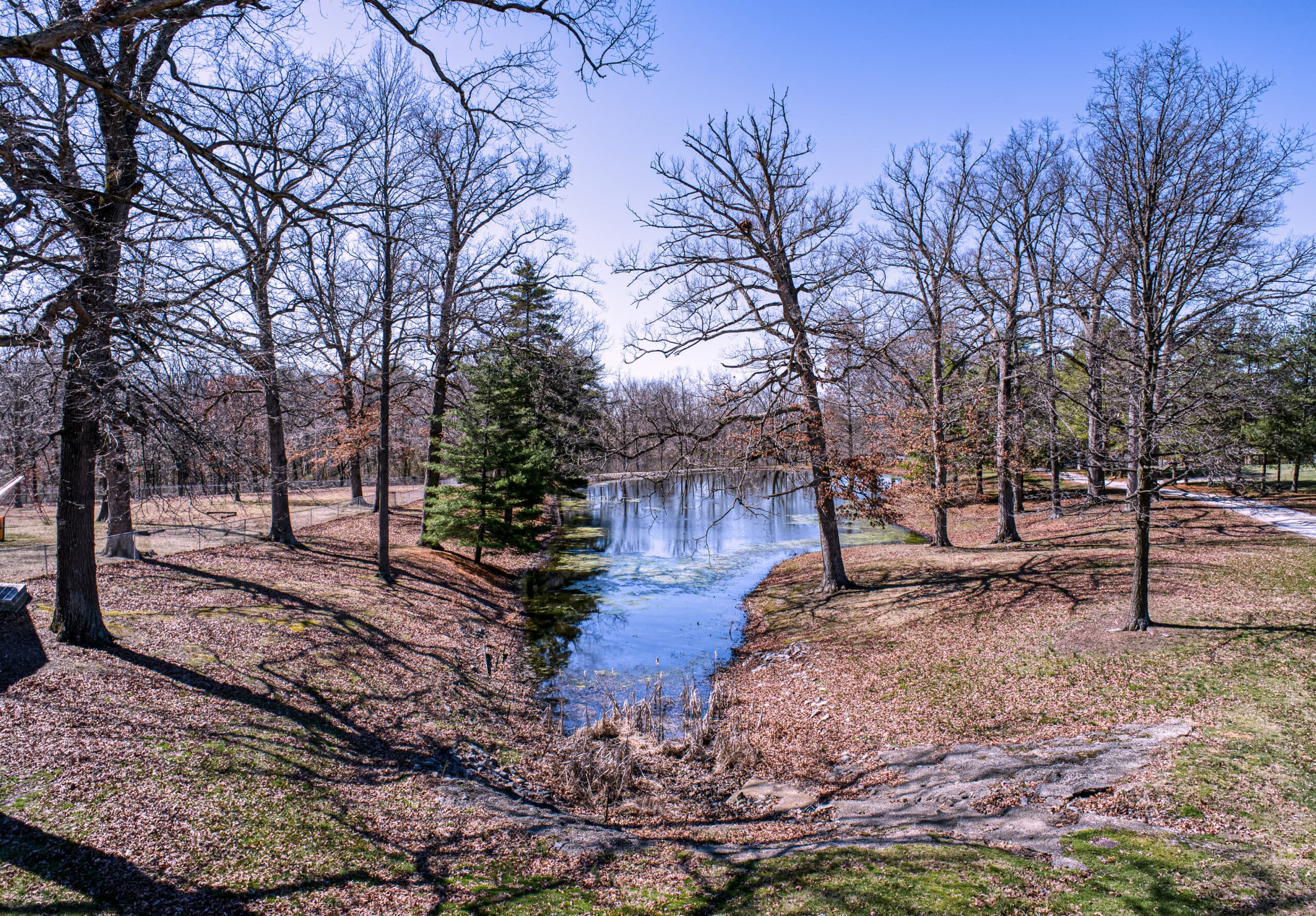 Lake view